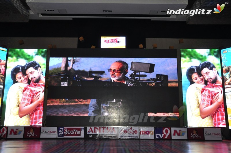 'Right Right' Audio Launch