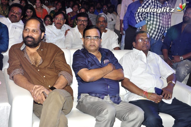 'Right Right' Audio Launch