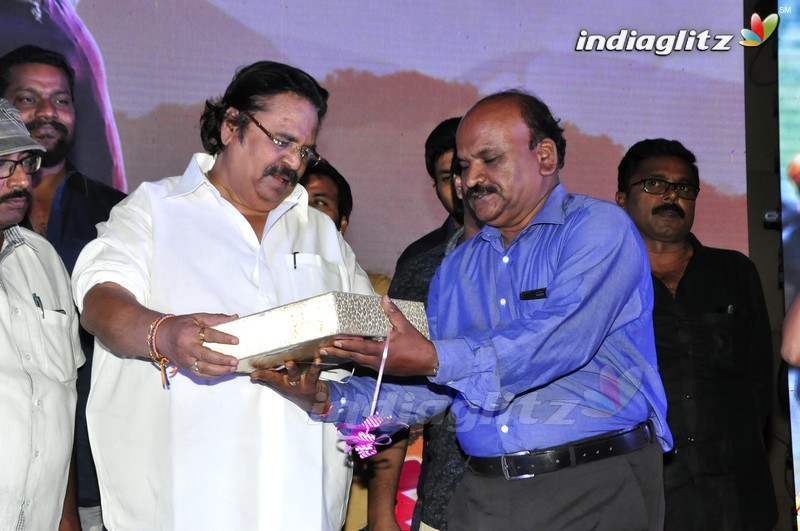 'Right Right' Audio Launch