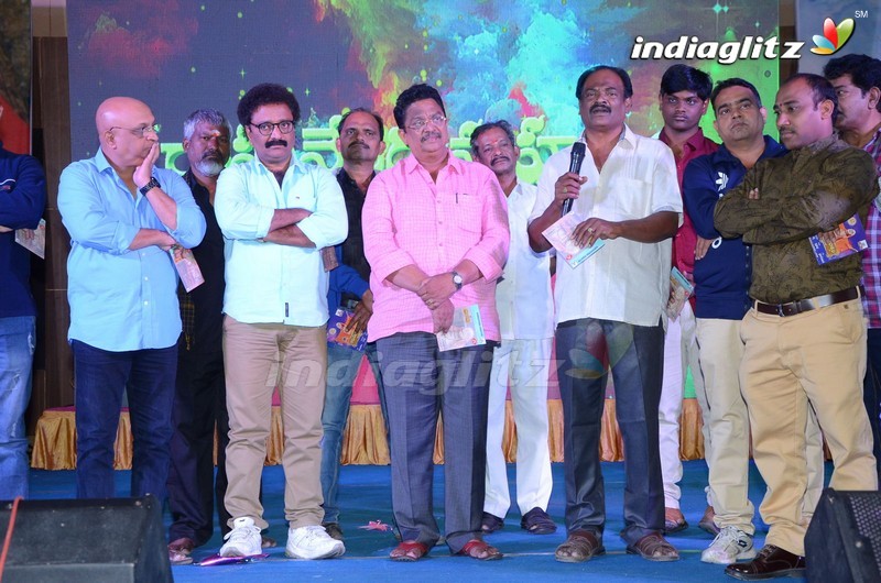 'Raghavendra Mahatyam' Audio Released