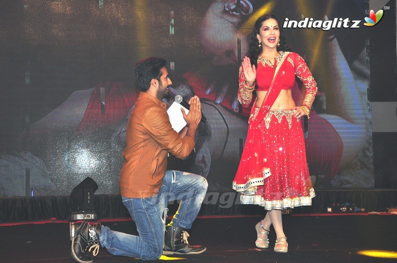 'Rogue' Audio Launch (Set-3)