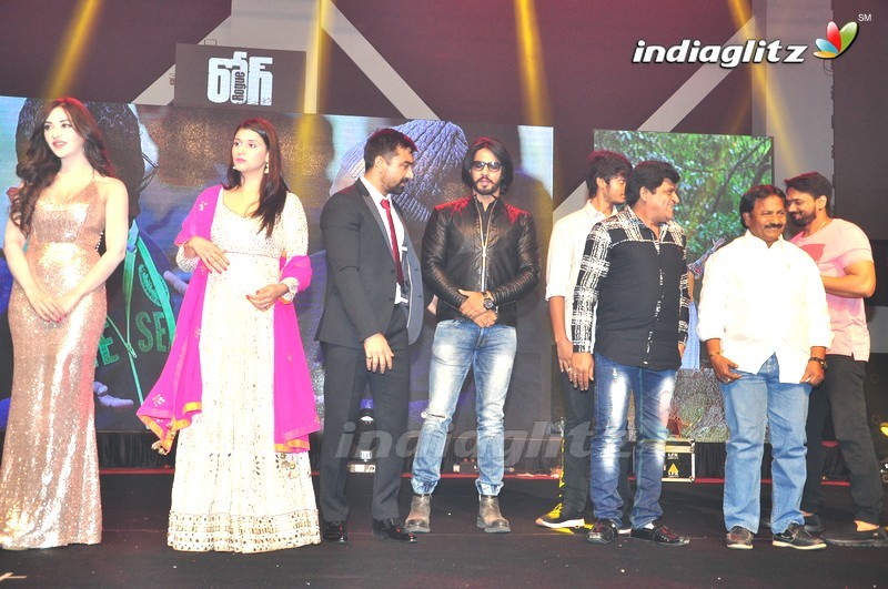 'Rogue' Audio Launch (Set-3)