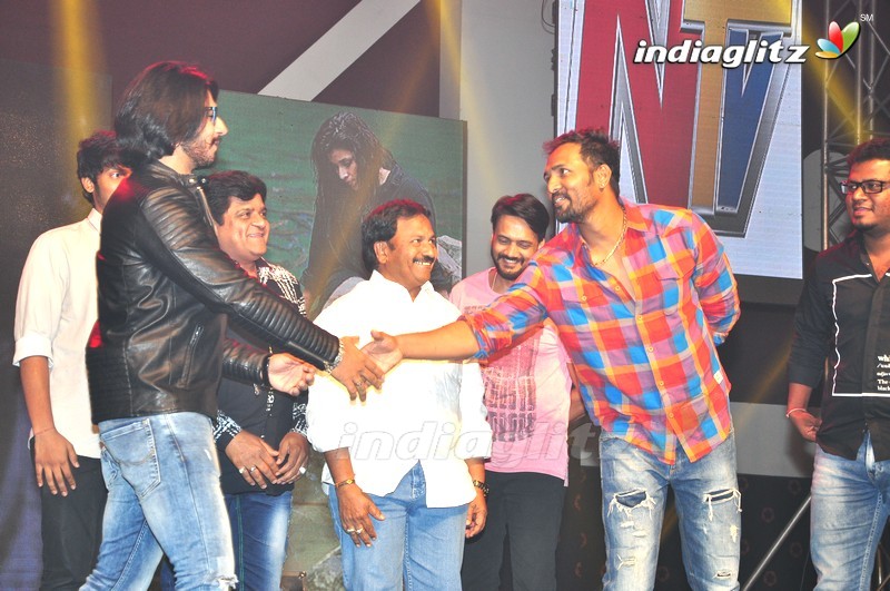 'Rogue' Audio Launch (Set-3)