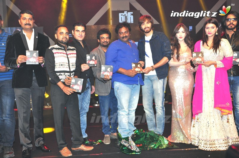 'Rogue' Audio Launch (Set-3)