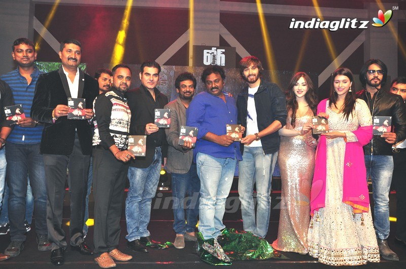 'Rogue' Audio Launch (Set-3)