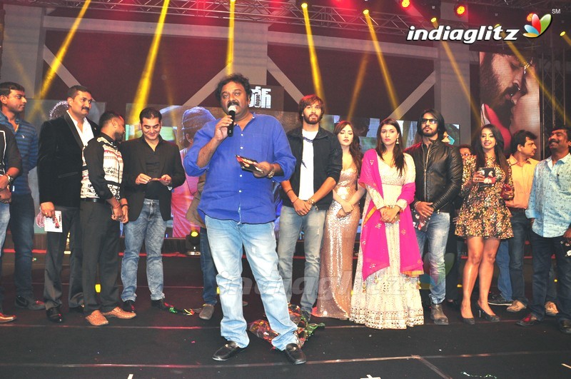 'Rogue' Audio Launch (Set-3)