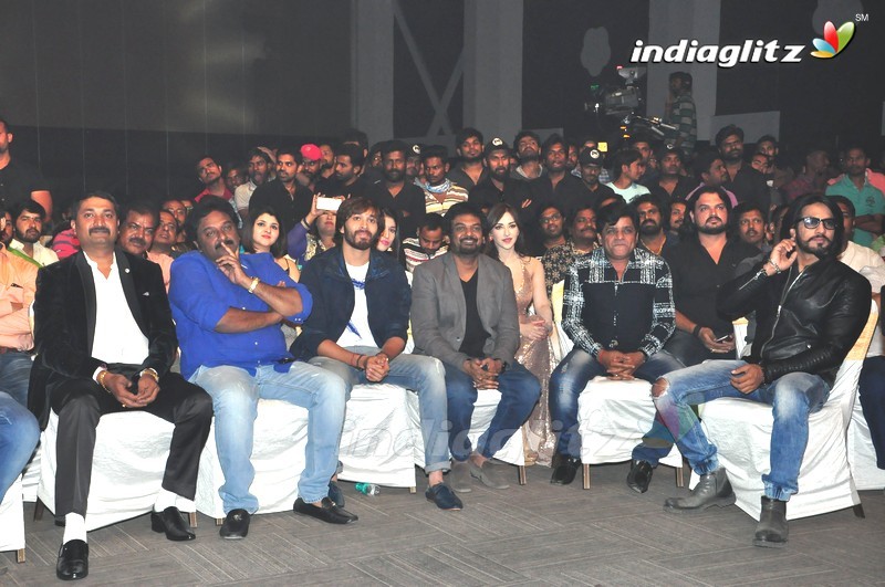 'Rogue' Audio Launch (Set-3)