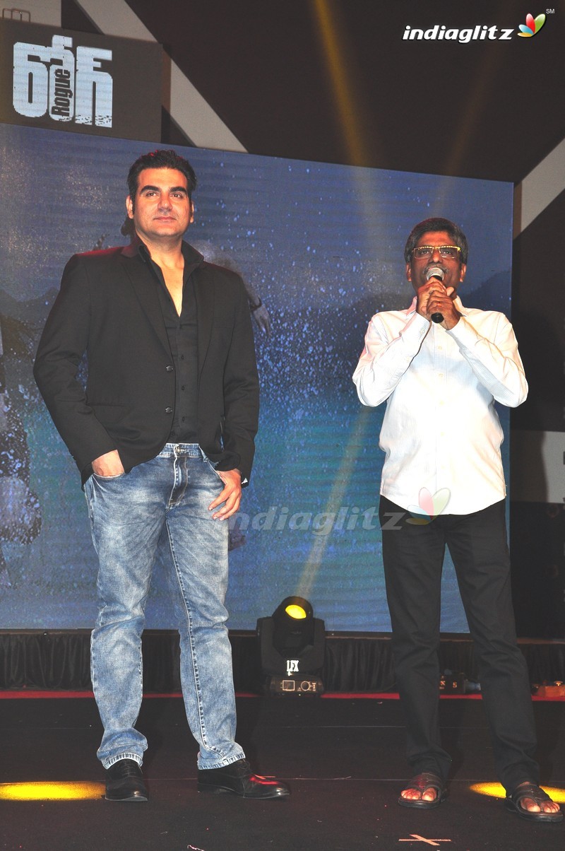 'Rogue' Audio Launch (Set-3)