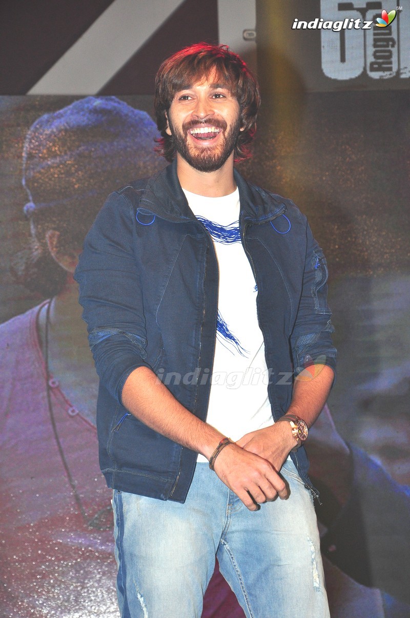 'Rogue' Audio Launch (Set-3)