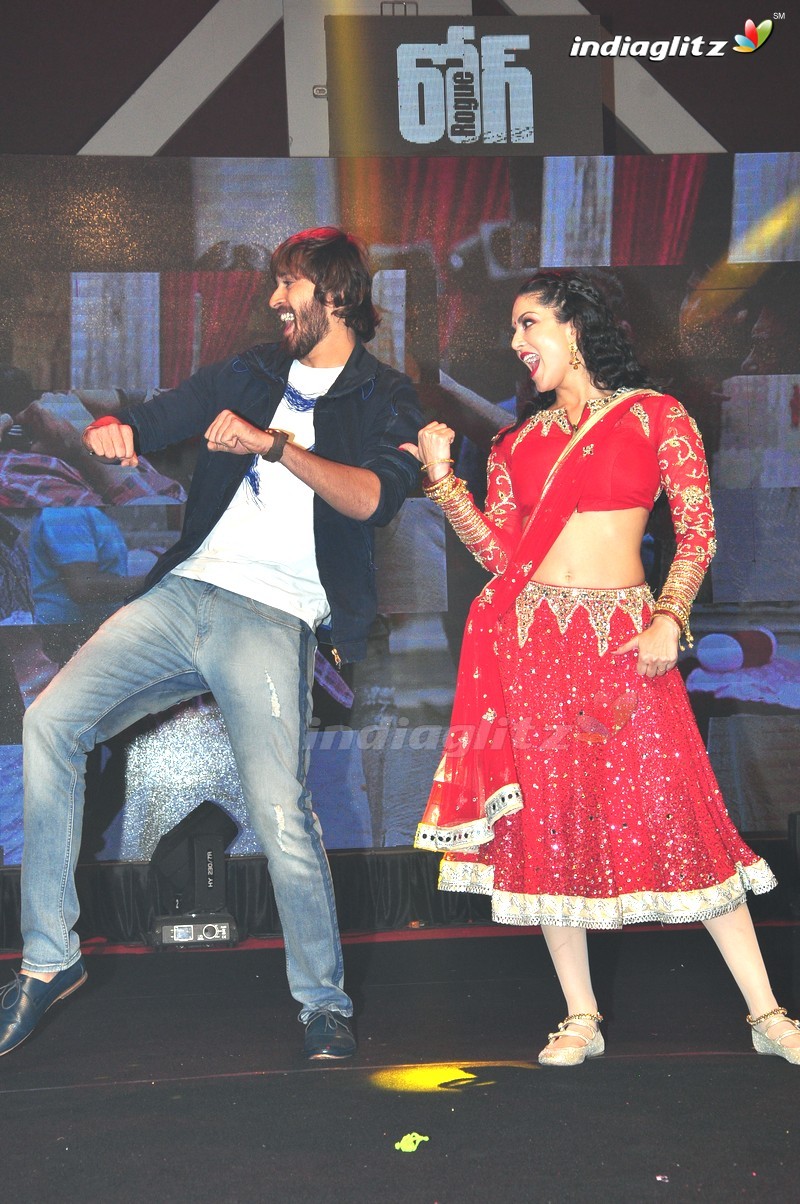 'Rogue' Audio Launch (Set-3)