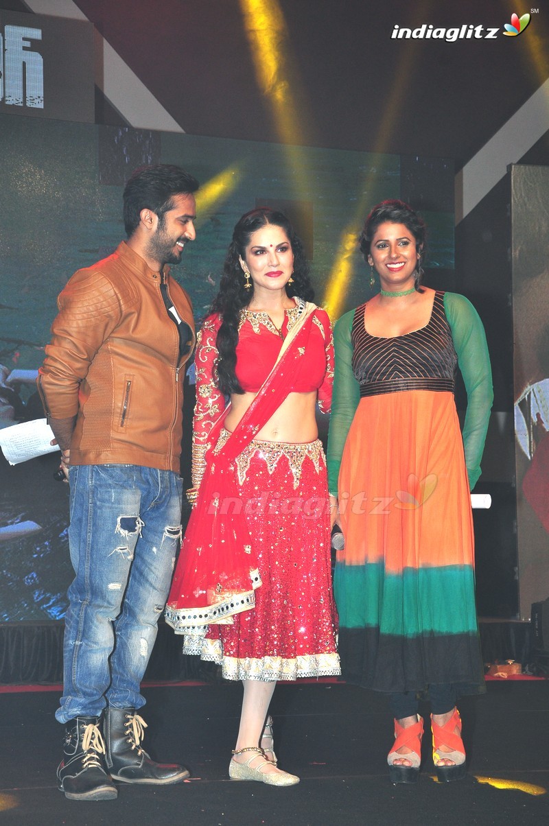 'Rogue' Audio Launch (Set-3)