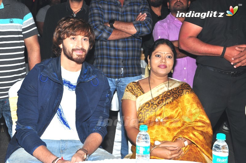 'Rogue' Audio Launch (Set-1)