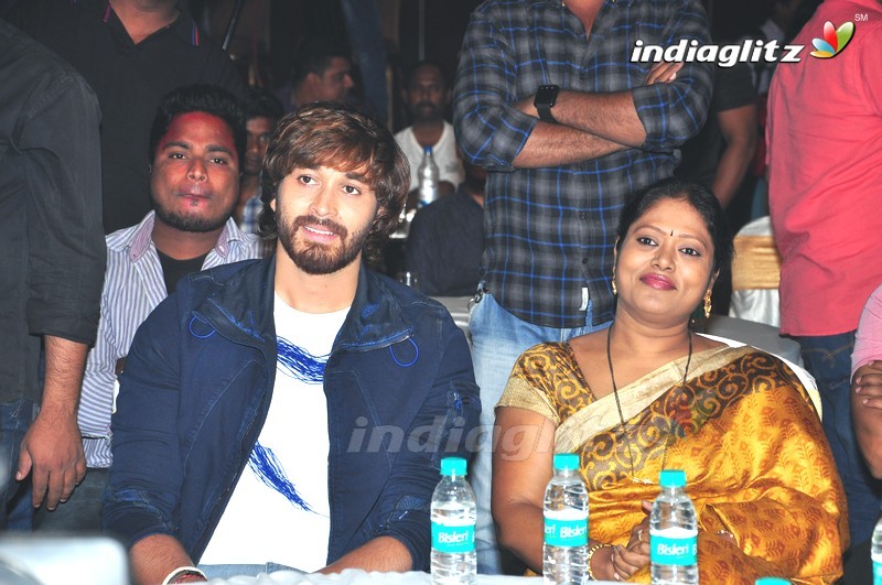 'Rogue' Audio Launch (Set-1)