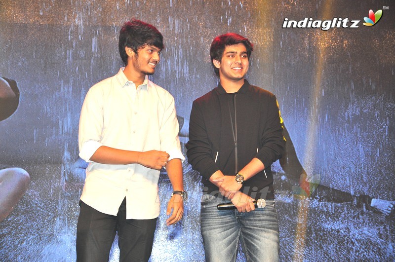 'Rogue' Audio Launch (Set-1)