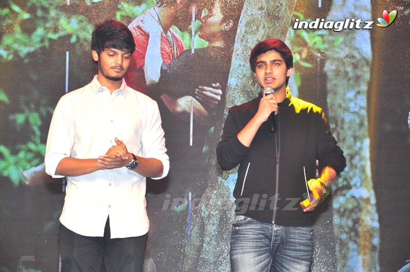 'Rogue' Audio Launch (Set-1)