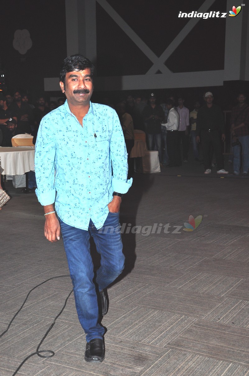 'Rogue' Audio Launch (Set-1)