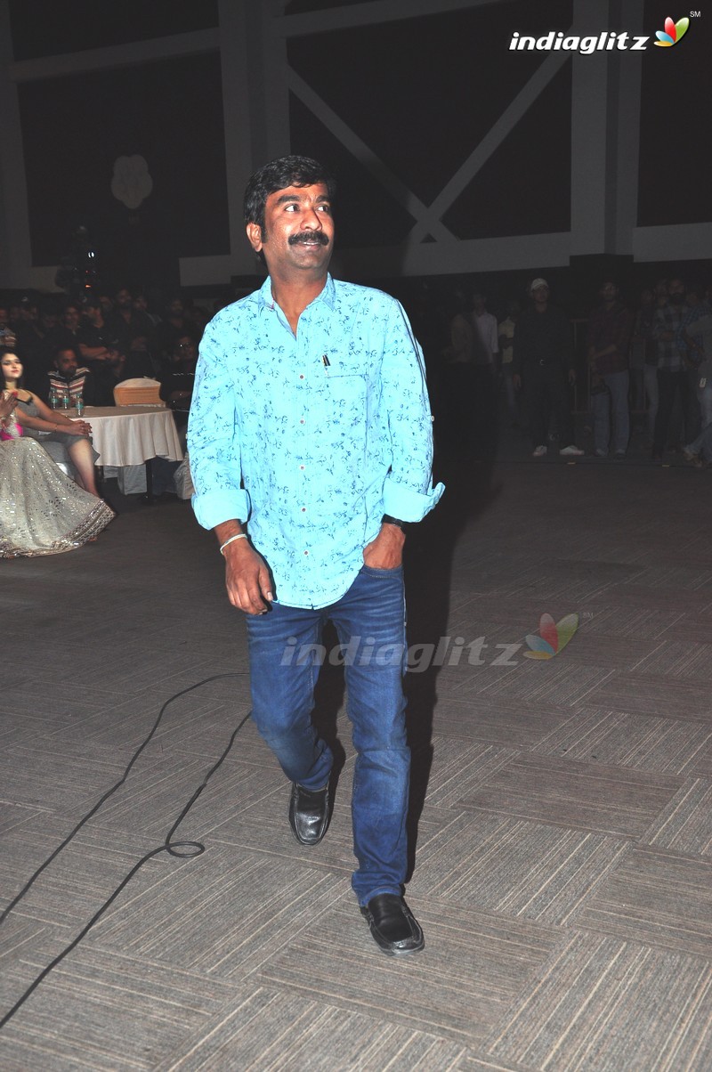 'Rogue' Audio Launch (Set-1)