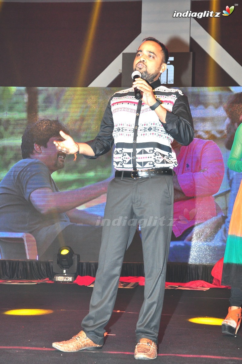 'Rogue' Audio Launch (Set-2)