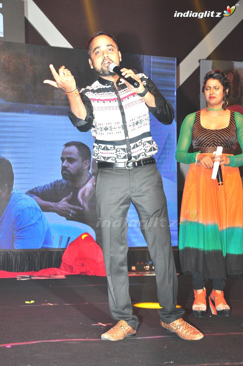 'Rogue' Audio Launch (Set-2)