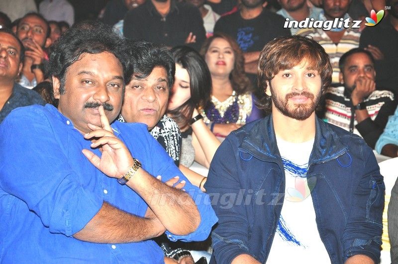 'Rogue' Audio Launch (Set-2)