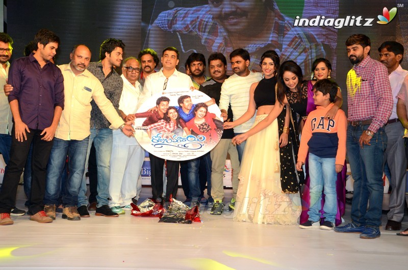 'Rojulu Marayi' Audio Launch