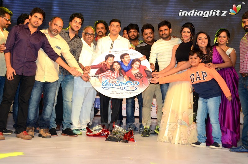 'Rojulu Marayi' Audio Launch