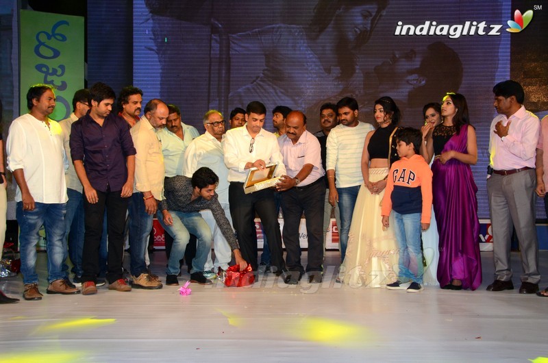 'Rojulu Marayi' Audio Launch