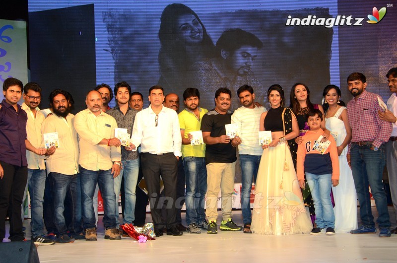 'Rojulu Marayi' Audio Launch