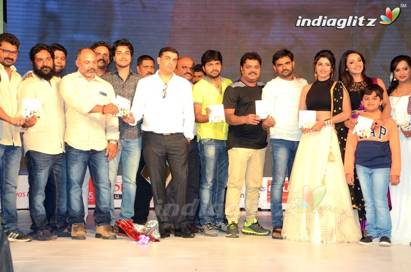 'Rojulu Marayi' Audio Launch