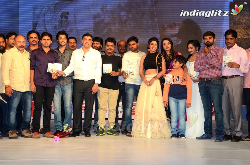 'Rojulu Marayi' Audio Launch