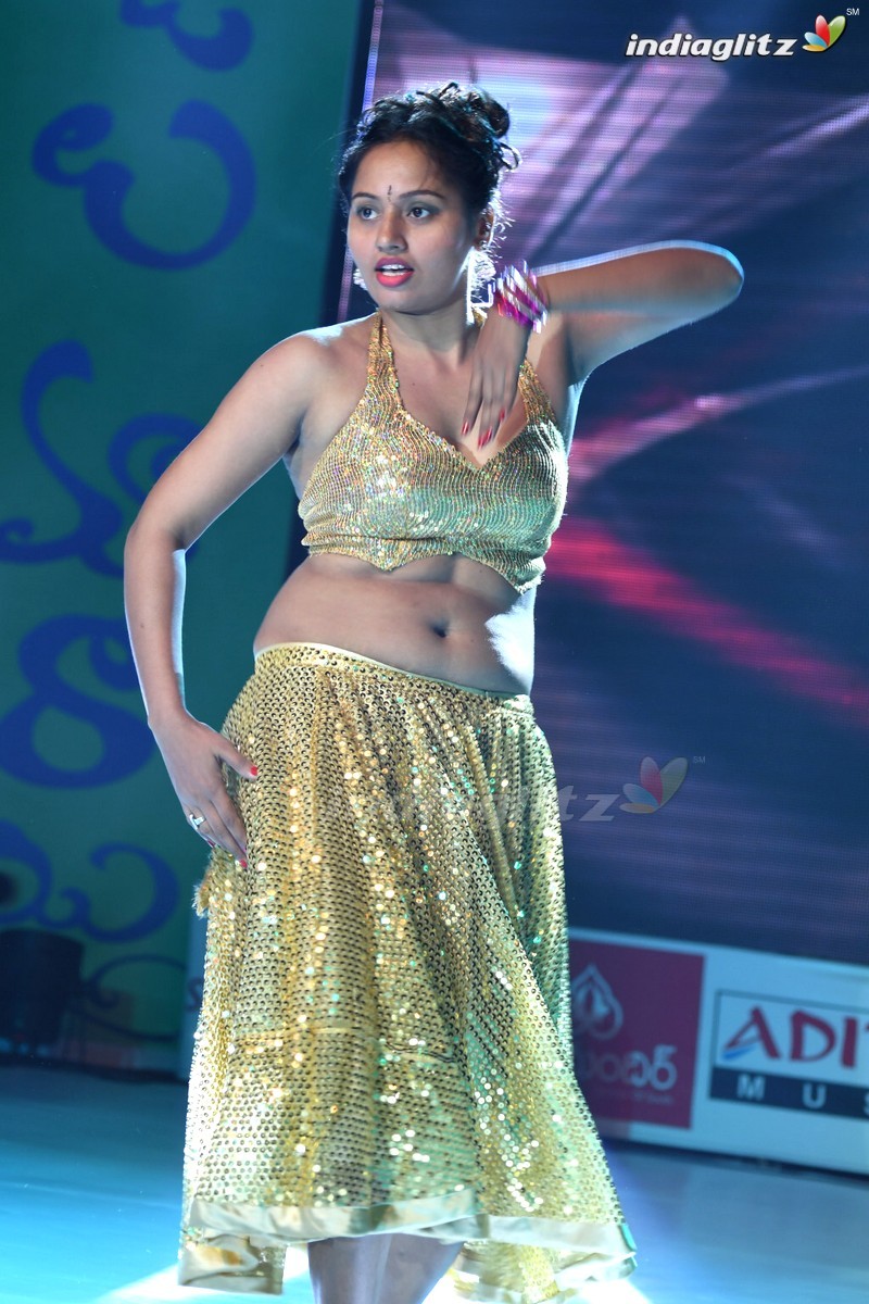 'Rojulu Marayi' Audio Launch