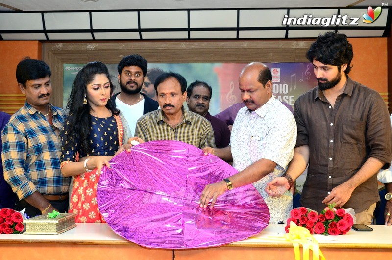 'R U Married' Audio Launch