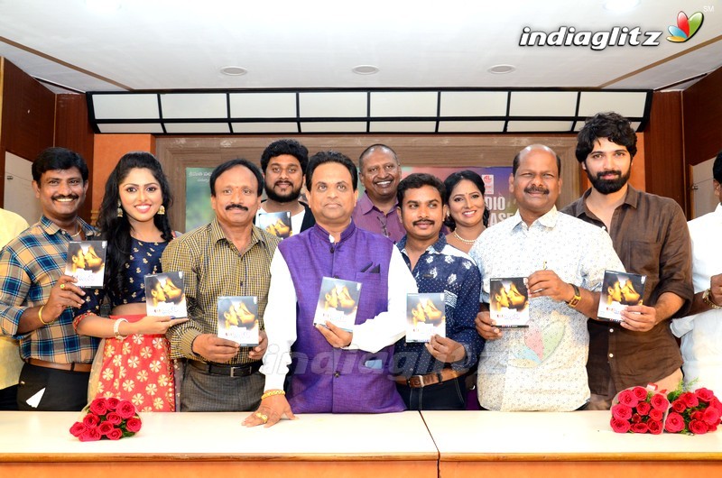 'R U Married' Audio Launch