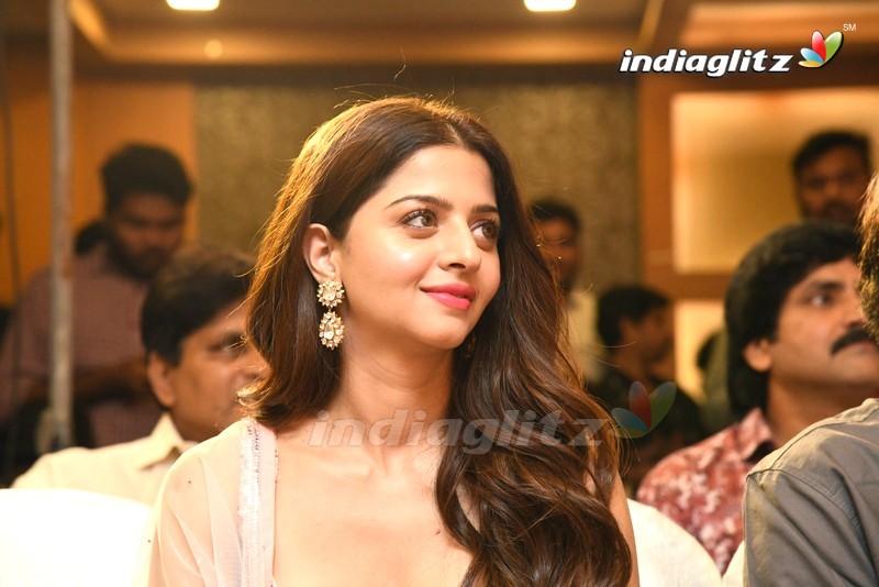 'Ruler' Success Meet