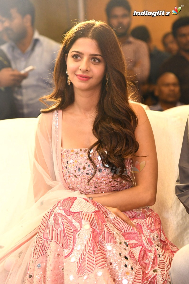 'Ruler' Success Meet