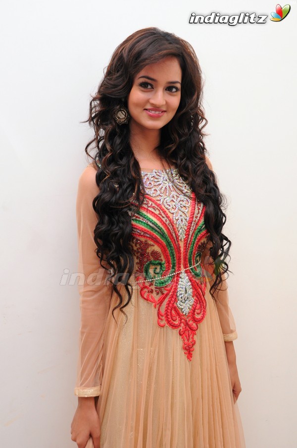 Sanvi at 'Adda' Audio Launch