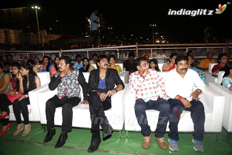 'Sarainodu' Audio Success Meet @ Vizag (Set-1)