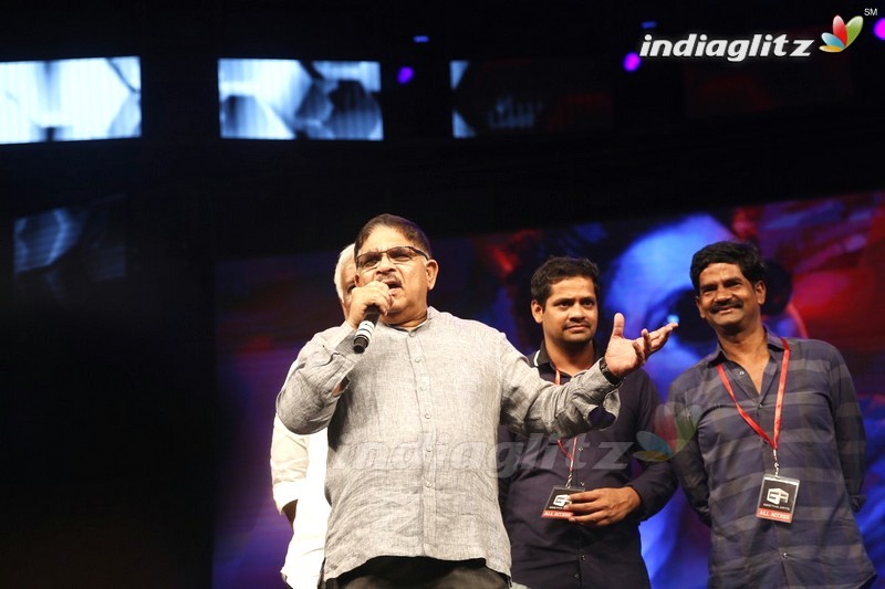 'Sarainodu' Audio Success Meet @ Vizag (Set-1)