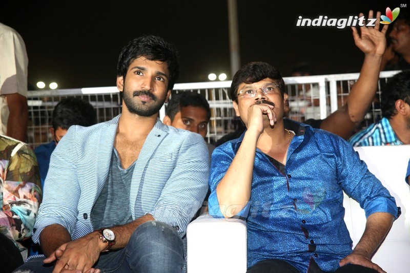 'Sarainodu' Audio Success Meet @ Vizag (Set-2)