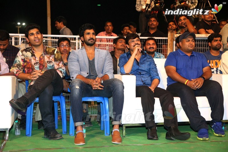 'Sarainodu' Audio Success Meet @ Vizag (Set-2)