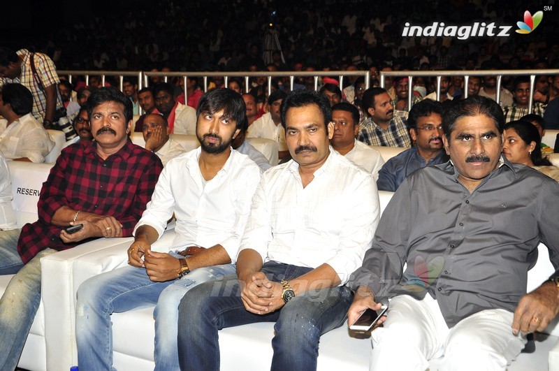 'Sardaar Gabbar Singh' Audio Launch (Set-2)