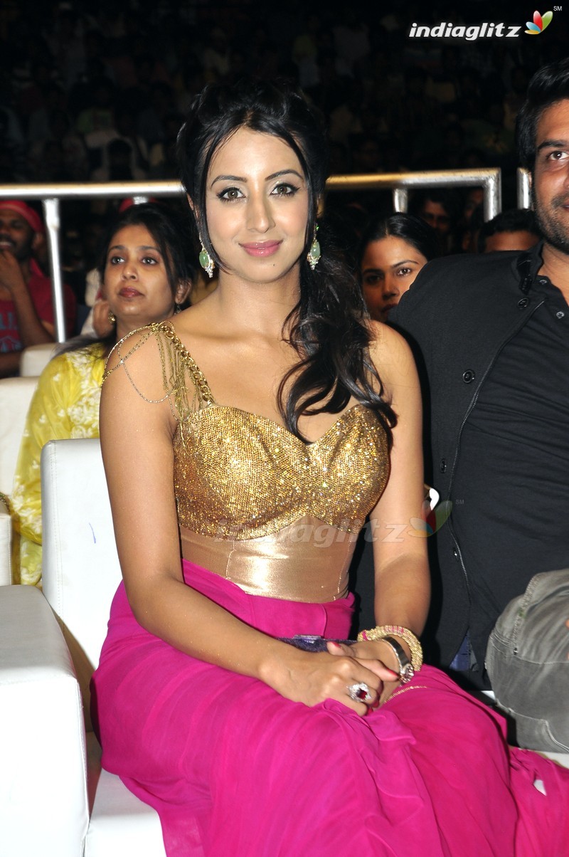 'Sardaar Gabbar Singh' Audio Launch (Set-1)