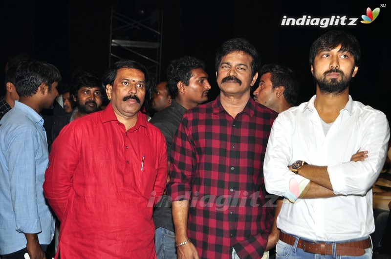 'Sardaar Gabbar Singh' Audio Launch (Set-1)