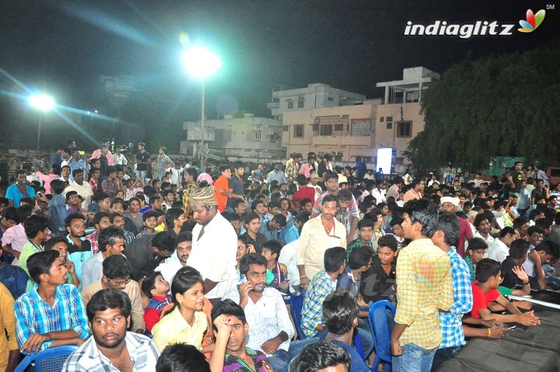 'Sarrainodu' Success Celebrations @ Vijayawada (Set-1)