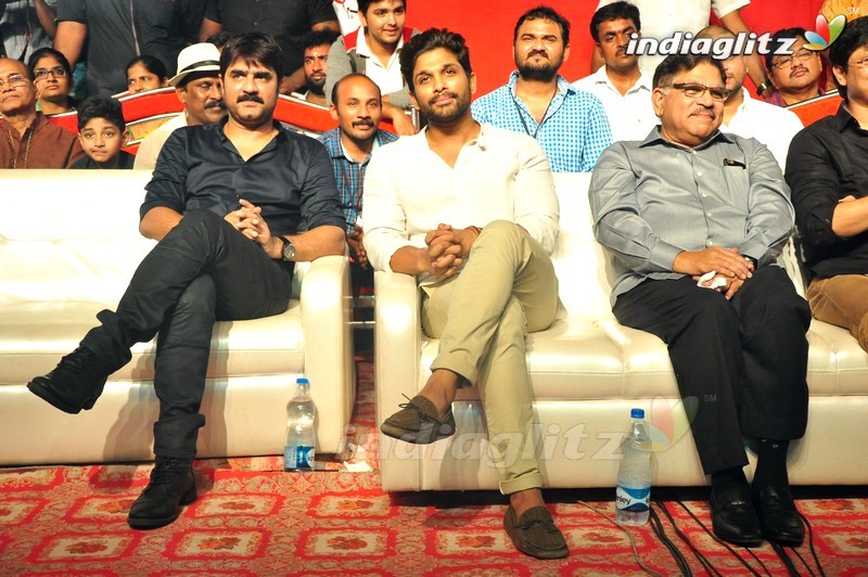 'Sarrainodu' Success Celebrations @ Vijayawada (Set-2)