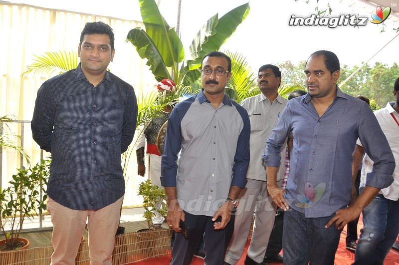 Balakrishna's 'Gautamiputra Satakarni' Movie Launch (Set-1)