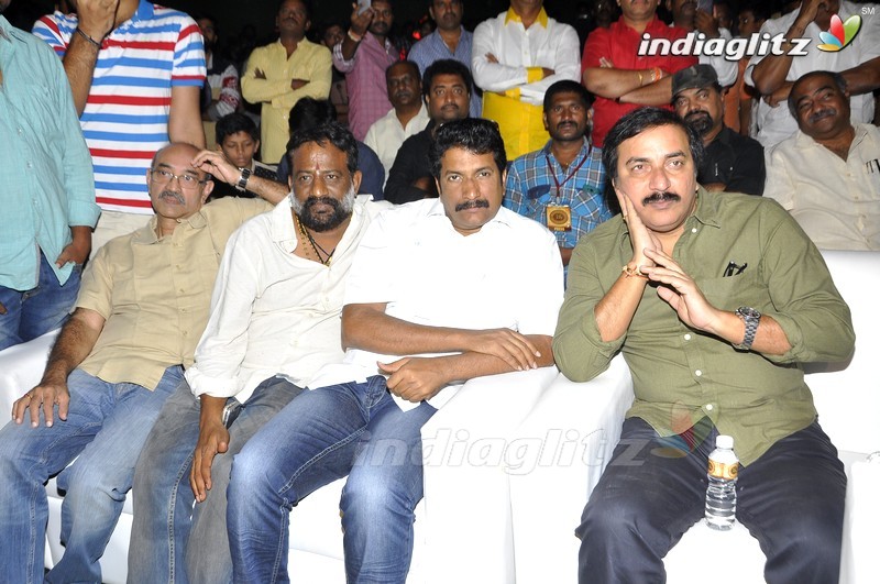 Balakrishna's 'Gautamiputra Satakarni' Movie Launch (Set-2)