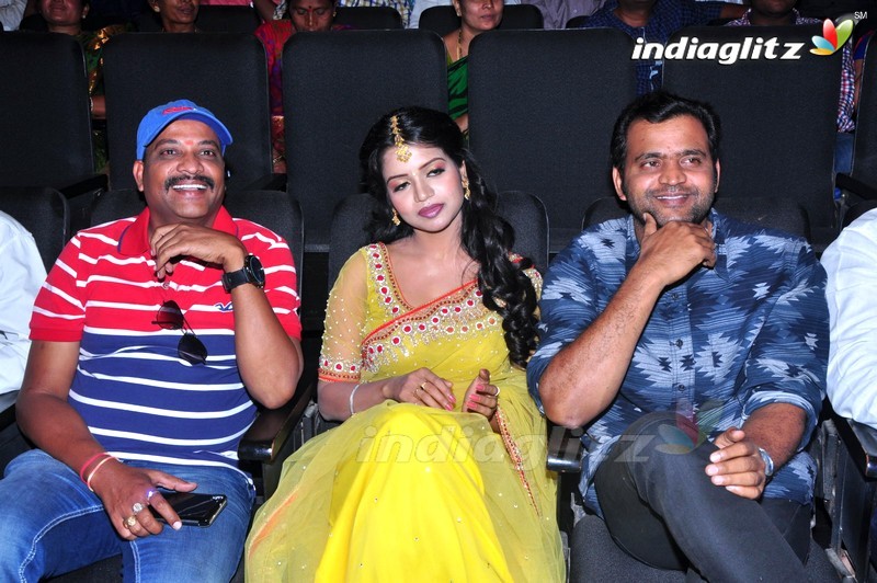 'Sathee Thimmamamba' Audio Launch