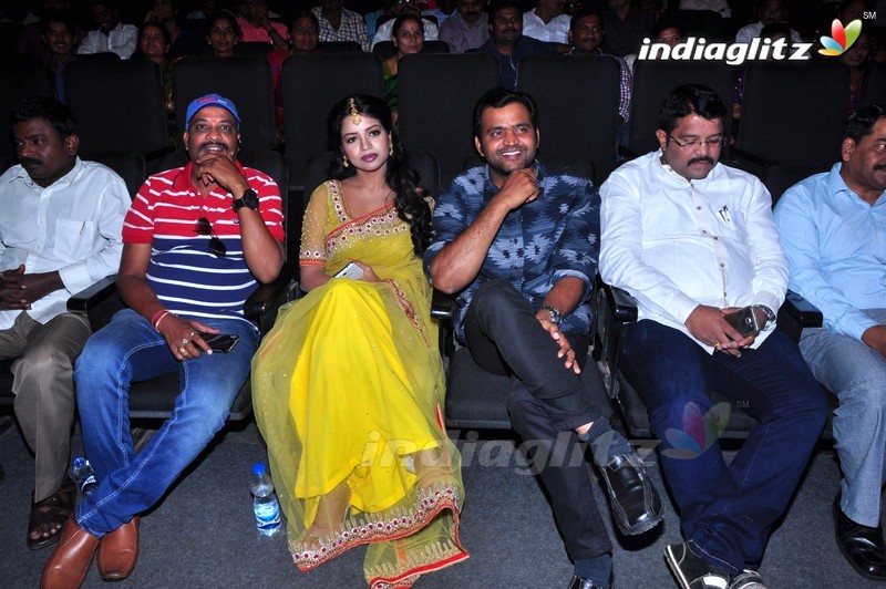 'Sathee Thimmamamba' Audio Launch