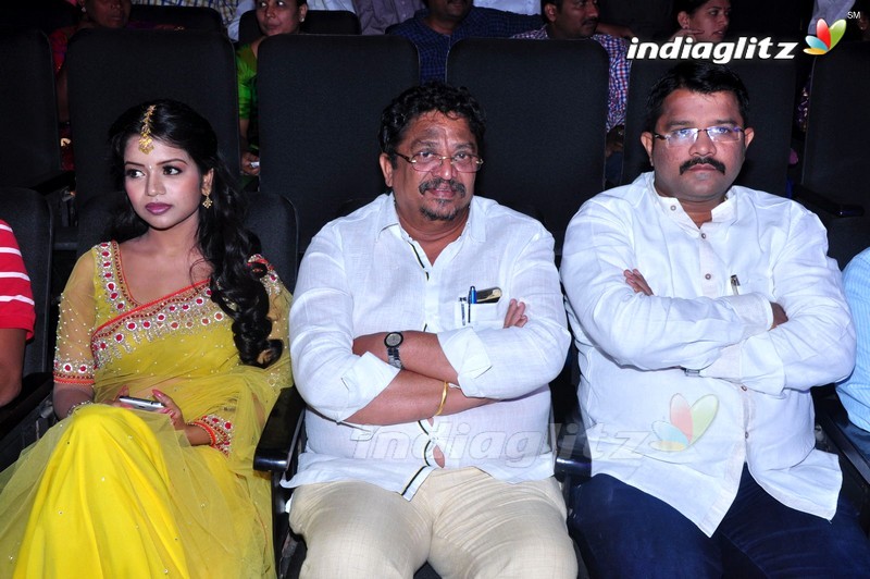 'Sathee Thimmamamba' Audio Launch